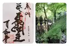 南蔵院の御朱印