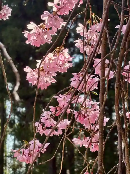 蚊里田八幡宮(長野県)