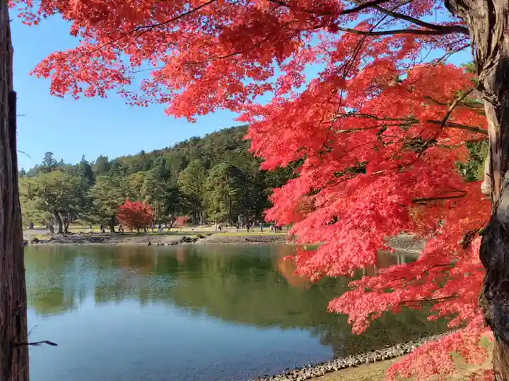 毛越寺(岩手県)
