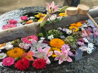 春日神社の手水舎