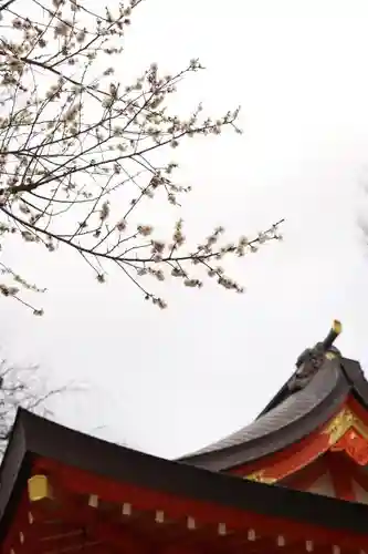 花園神社の自然