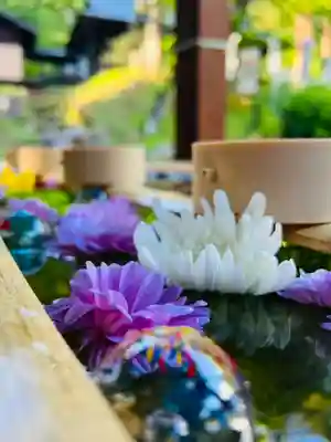 土津神社|こどもと出世の神さまの手水舎