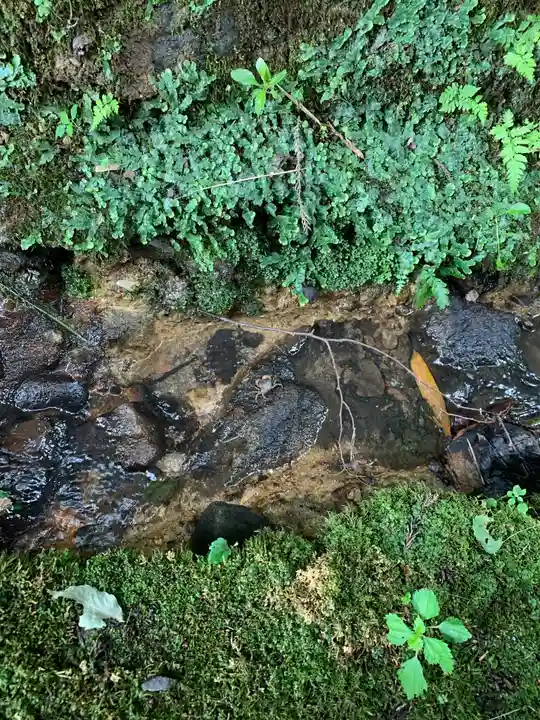 天寧寺(福島県)