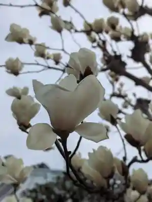 丹生大師 神宮寺(三重県)