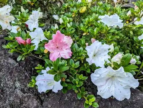 鎌倉宮(神奈川県)