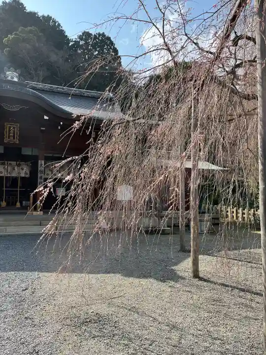大石神社の自然