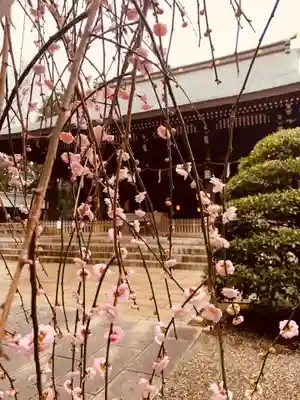喜多見氷川神社の自然