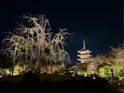 東寺（教王護国寺）(京都府)