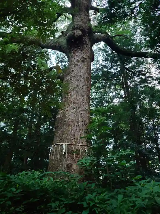 六嶽神社(下社)(福岡県)