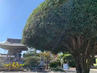 長安寺のその他建物