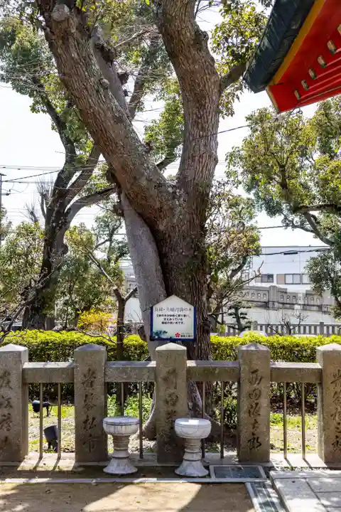綱敷天満宮の自然