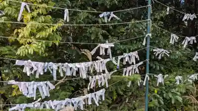 宇治神社のおみくじ