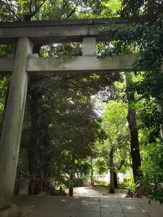 渋谷氷川神社(東京都)