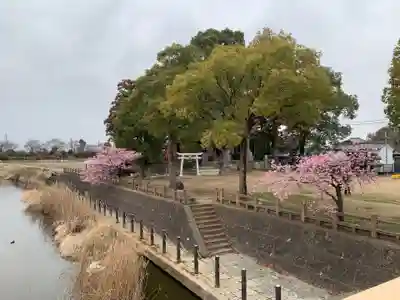 嚴島神社(千葉県)