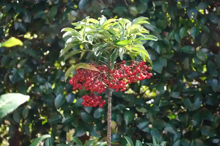 三室戸寺(京都府)