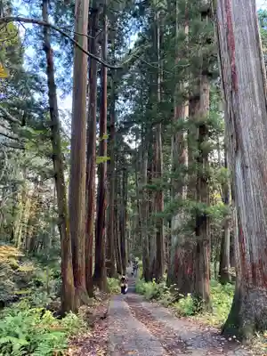 戸隠神社奥社(長野県)