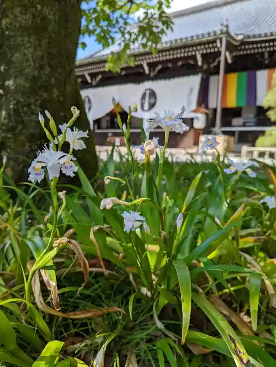 光明寺(粟生光明寺)(京都府)