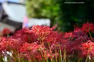 磐井神社(東京都)