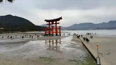 厳島神社(広島県)
