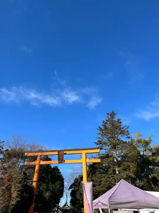 川越氷川神社(埼玉県)