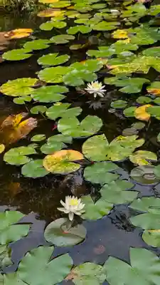 十輪寺(京都府)