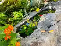 三輪神社の自然