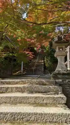 二尊院(京都府)