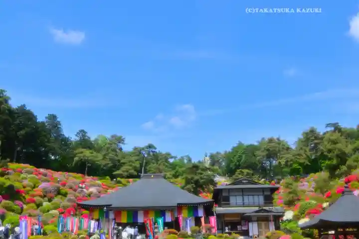 塩船観音寺(東京都)
