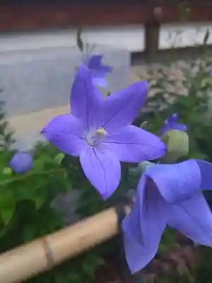 晴明神社(京都府)