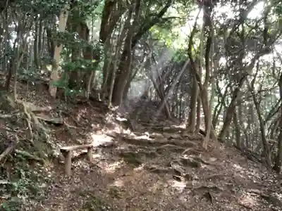 伊射波神社の周辺