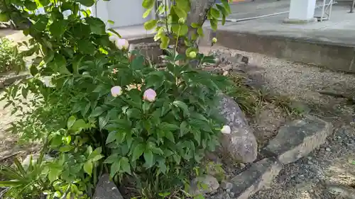 阿弥陀寺の自然