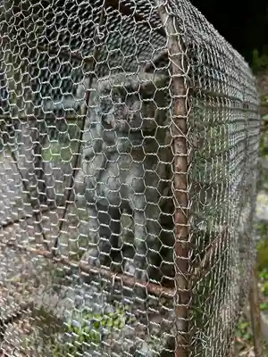 熊野神社(神奈川県)