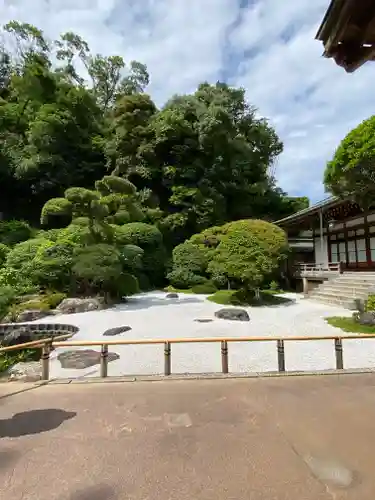 報国寺の庭園