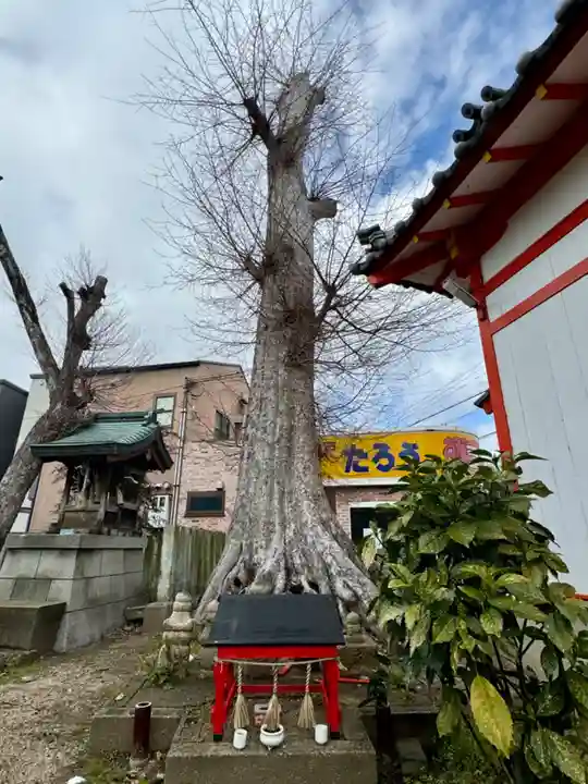 粟津天満神社(兵庫県)