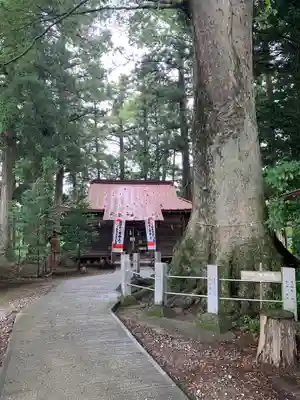 向田神社(栃木県)