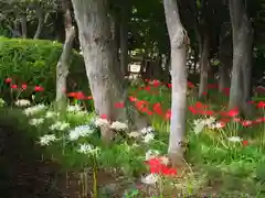 祖光院(千葉県)