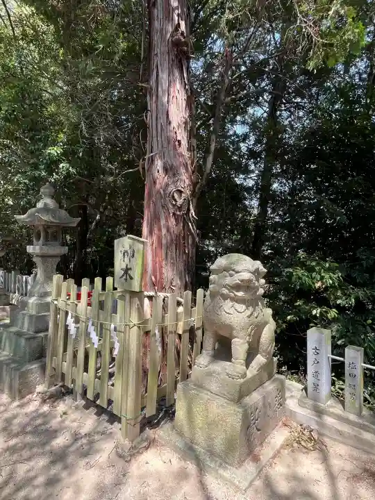 大瀧神社(広島県)