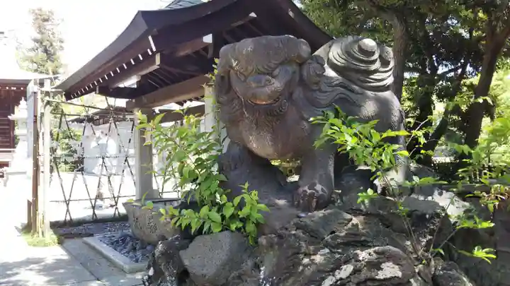 菊田神社の狛犬