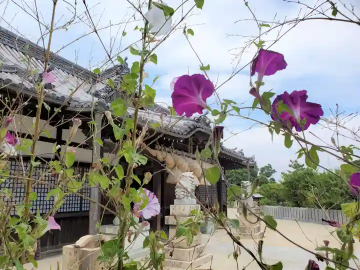 曽根天満宮の自然