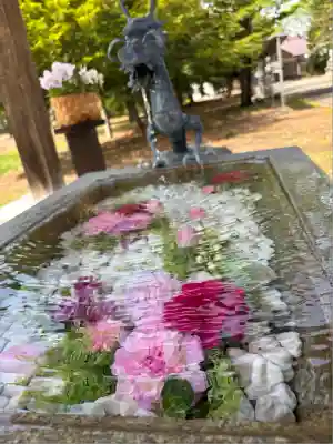 鹿追神社の手水舎