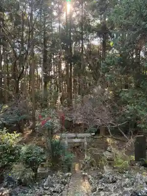 飯綱権現(千葉県)