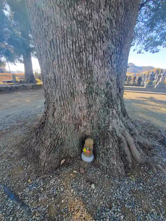 佛修山南光寺(群馬県)
