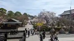 善光寺(長野県)