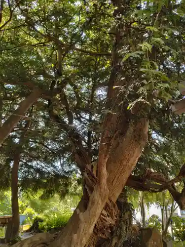 深山神社(福島県)