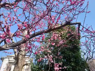 福泉寺(神奈川県)