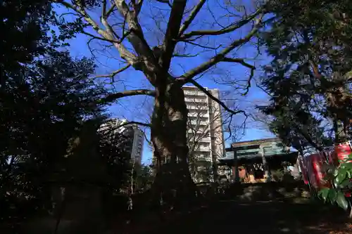 愛宕神社の自然