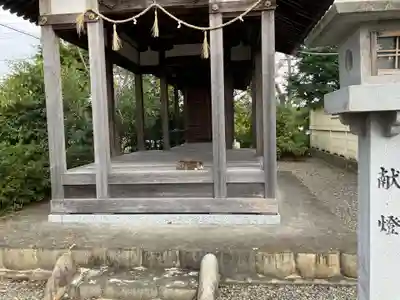 小池神社(愛知県)