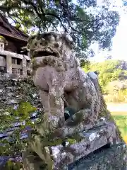 釜屋神社の狛犬