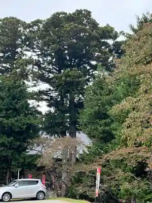 高司神社〜むすびの神の鎮まる社〜のその他建物