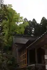 若宮神社（朽木麻生）(滋賀県)